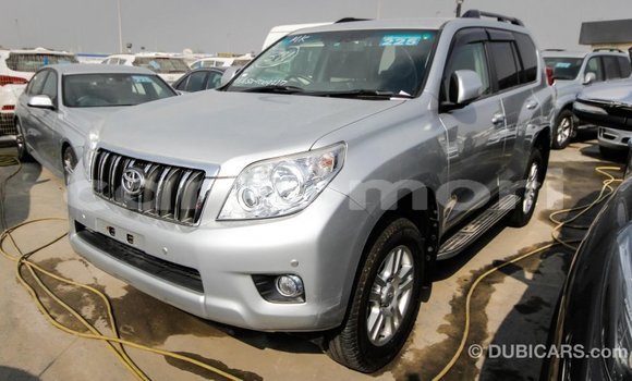 Buy Import Toyota Prado Other Car in Import - Dubai in Great Comore Buy Import Toyota Prado Other Car in Import - Dubai in Great Comore