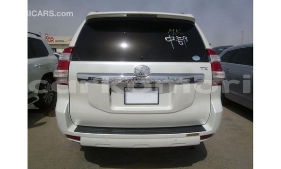 Buy Import Toyota Prado White Car in Import - Dubai in Great Comore Buy Import Toyota Prado White Car in Import - Dubai in Great Comore