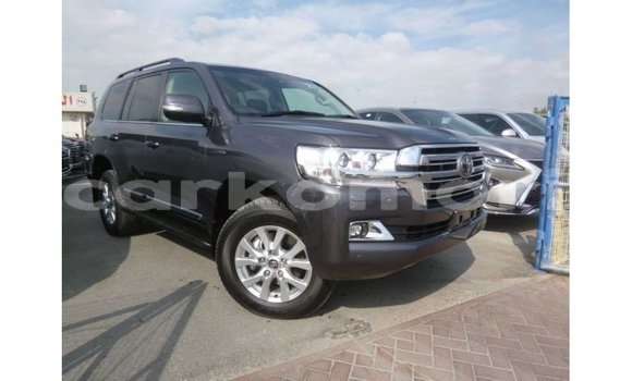 Buy Import Toyota Land Cruiser Other Car in Import - Dubai in Great Comore