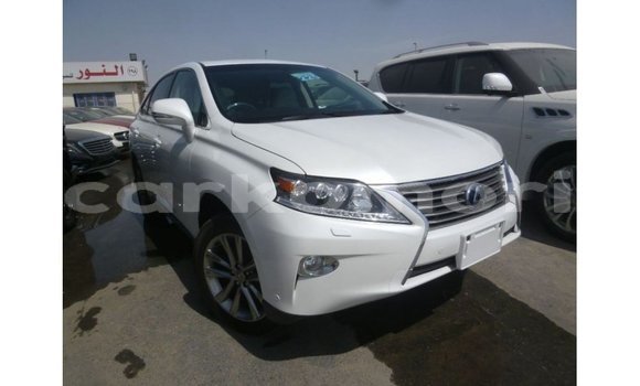 Acheter Import Voiture Lexus RX Blanc à Import - Dubai, Grande Comore