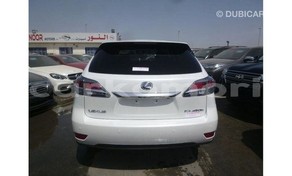 Acheter Import Voiture Lexus RX Blanc à Import - Dubai, Grande Comore Acheter Import Voiture Lexus RX Blanc à Import - Dubai, Grande Comore