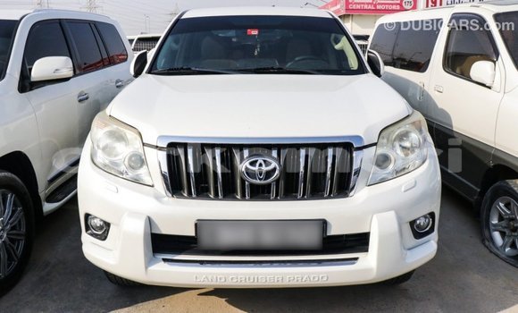 Acheter Import Voiture Toyota Prado Blanc à Import - Dubai, Grande Comore Acheter Import Voiture Toyota Prado Blanc à Import - Dubai, Grande Comore