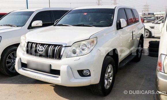 Acheter Import Voiture Toyota Prado Blanc à Import - Dubai, Grande Comore Acheter Import Voiture Toyota Prado Blanc à Import - Dubai, Grande Comore