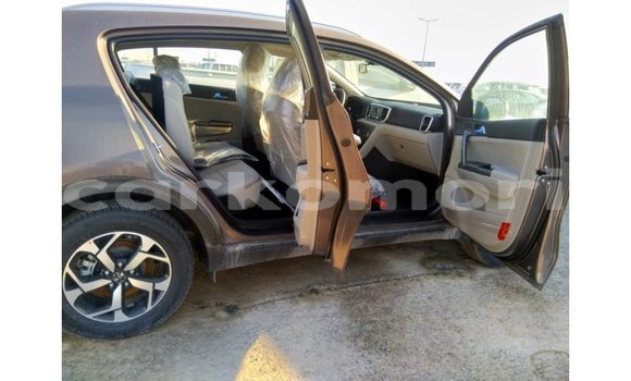 Buy Import Kia Sportage Brown Car in Import - Dubai in Great Comore Buy Import Kia Sportage Brown Car in Import - Dubai in Great Comore
