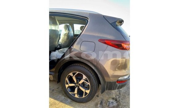 Buy Import Kia Sportage Brown Car in Import - Dubai in Great Comore Buy Import Kia Sportage Brown Car in Import - Dubai in Great Comore