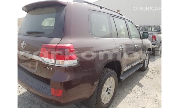 Buy Import Toyota Land Cruiser Brown Car in Import - Dubai in Great Comore Buy Import Toyota Land Cruiser Brown Car in Import - Dubai in Great Comore