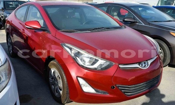 Acheter Import Voiture Hyundai Elantra Rouge à Import - Dubai, Grande Comore Acheter Import Voiture Hyundai Elantra Rouge à Import - Dubai, Grande Comore