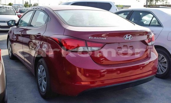 Acheter Import Voiture Hyundai Elantra Rouge à Import - Dubai, Grande Comore Acheter Import Voiture Hyundai Elantra Rouge à Import - Dubai, Grande Comore