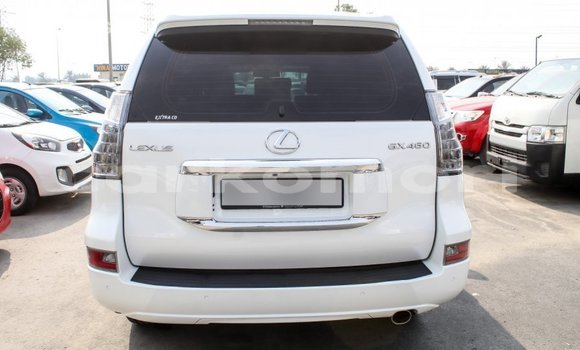 Acheter Import Voiture Lexus GX Blanc à Import - Dubai, Grande Comore Acheter Import Voiture Lexus GX Blanc à Import - Dubai, Grande Comore