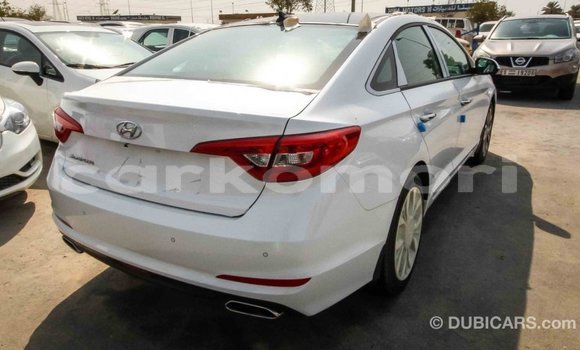 Acheter Import Voiture Hyundai Sonata Blanc à Import - Dubai, Grande Comore Acheter Import Voiture Hyundai Sonata Blanc à Import - Dubai, Grande Comore