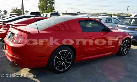 Acheter Import Voiture Ford Mustang Rouge à Import - Dubai, Grande Comore Acheter Import Voiture Ford Mustang Rouge à Import - Dubai, Grande Comore