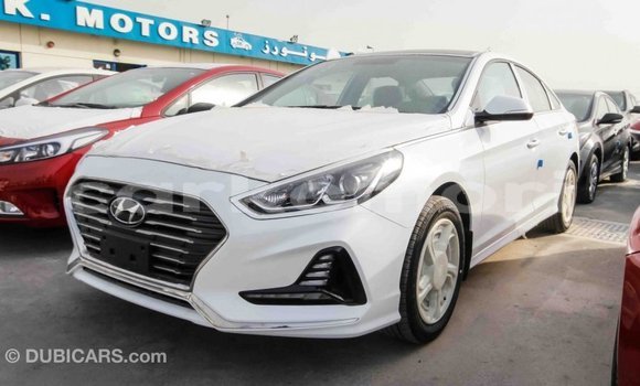 Acheter Import Voiture Hyundai Sonata Blanc à Import - Dubai, Grande Comore Acheter Import Voiture Hyundai Sonata Blanc à Import - Dubai, Grande Comore