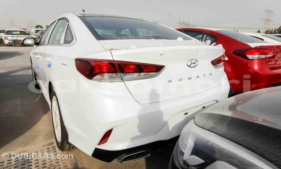 Acheter Import Voiture Hyundai Sonata Blanc à Import - Dubai, Grande Comore Acheter Import Voiture Hyundai Sonata Blanc à Import - Dubai, Grande Comore