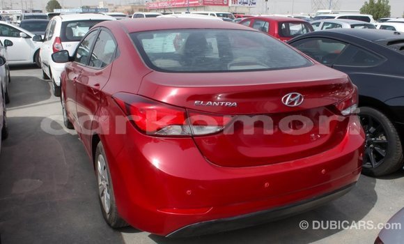 Acheter Import Voiture Hyundai Elantra Rouge à Import - Dubai, Grande Comore Acheter Import Voiture Hyundai Elantra Rouge à Import - Dubai, Grande Comore