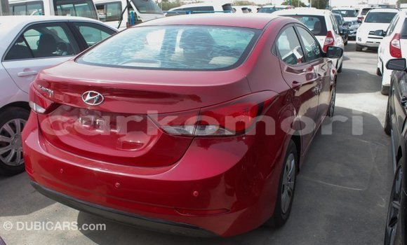 Acheter Import Voiture Hyundai Elantra Rouge à Import - Dubai, Grande Comore Acheter Import Voiture Hyundai Elantra Rouge à Import - Dubai, Grande Comore