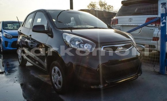 Acheter Import Voiture Kia Picanto Noir à Import - Dubai, Grande Comore Acheter Import Voiture Kia Picanto Noir à Import - Dubai, Grande Comore