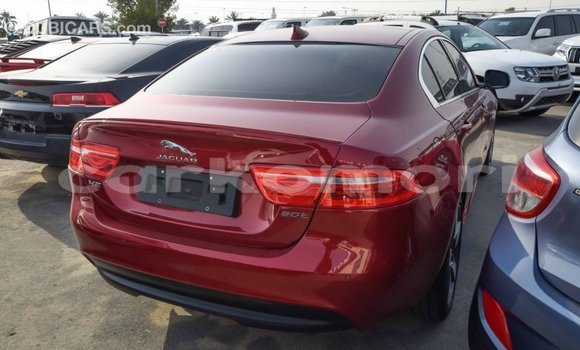 Acheter Import Voiture Jaguar XE Rouge à Import - Dubai, Grande Comore Acheter Import Voiture Jaguar XE Rouge à Import - Dubai, Grande Comore