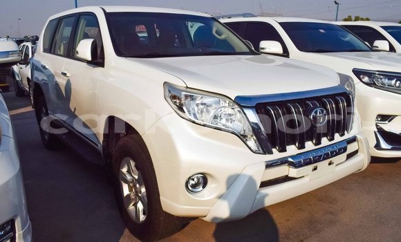 Acheter Import Voiture Toyota Prado Blanc à Import - Dubai, Grande Comore Acheter Import Voiture Toyota Prado Blanc à Import - Dubai, Grande Comore