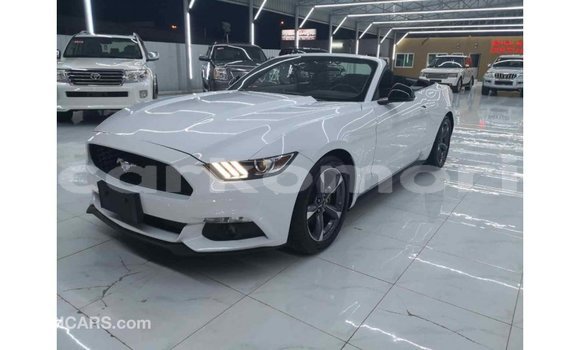 Acheter Import Voiture Ford Mustang Blanc à Import - Dubai, Grande Comore Acheter Import Voiture Ford Mustang Blanc à Import - Dubai, Grande Comore