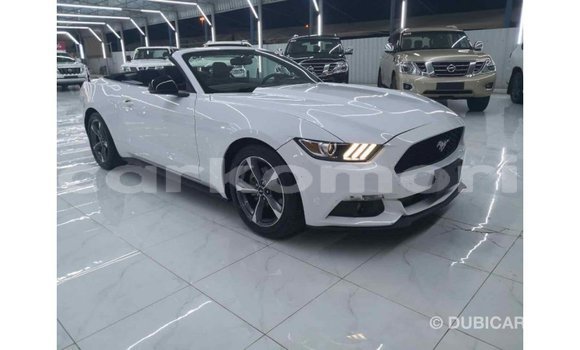Acheter Import Voiture Ford Mustang Blanc à Import - Dubai, Grande Comore Acheter Import Voiture Ford Mustang Blanc à Import - Dubai, Grande Comore