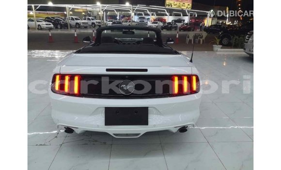 Acheter Import Voiture Ford Mustang Blanc à Import - Dubai, Grande Comore Acheter Import Voiture Ford Mustang Blanc à Import - Dubai, Grande Comore