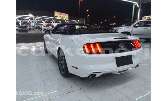 Acheter Import Voiture Ford Mustang Blanc à Import - Dubai, Grande Comore Acheter Import Voiture Ford Mustang Blanc à Import - Dubai, Grande Comore