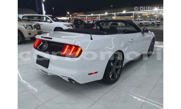 Acheter Import Voiture Ford Mustang Blanc à Import - Dubai, Grande Comore Acheter Import Voiture Ford Mustang Blanc à Import - Dubai, Grande Comore