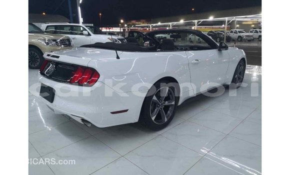 Acheter Import Voiture Ford Mustang Blanc à Import - Dubai, Grande Comore