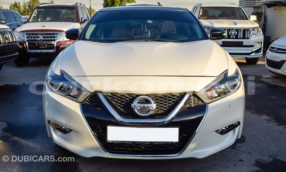 Acheter Import Voiture Nissan Maxima Blanc à Import - Dubai, Grande Comore Acheter Import Voiture Nissan Maxima Blanc à Import - Dubai, Grande Comore