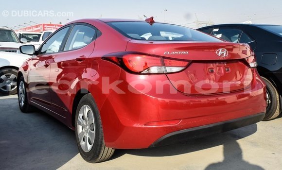Acheter Import Voiture Hyundai Elantra Rouge à Import - Dubai, Grande Comore Acheter Import Voiture Hyundai Elantra Rouge à Import - Dubai, Grande Comore