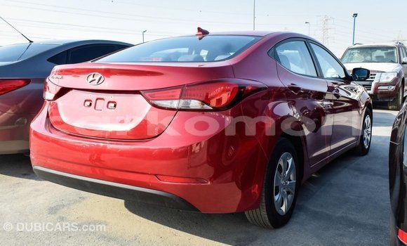 Acheter Import Voiture Hyundai Elantra Rouge à Import - Dubai, Grande Comore Acheter Import Voiture Hyundai Elantra Rouge à Import - Dubai, Grande Comore