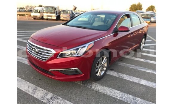 Acheter Import Voiture Hyundai Sonata Rouge à Import - Dubai, Grande Comore Acheter Import Voiture Hyundai Sonata Rouge à Import - Dubai, Grande Comore