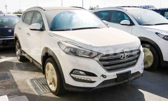 Acheter Import Voiture Hyundai Tucson Blanc à Import - Dubai, Grande Comore Acheter Import Voiture Hyundai Tucson Blanc à Import - Dubai, Grande Comore