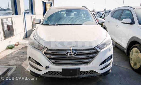 Acheter Import Voiture Hyundai Tucson Blanc à Import - Dubai, Grande Comore Acheter Import Voiture Hyundai Tucson Blanc à Import - Dubai, Grande Comore