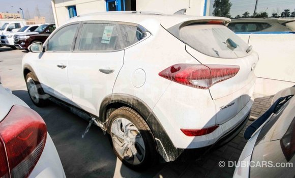 Acheter Import Voiture Hyundai Tucson Blanc à Import - Dubai, Grande Comore Acheter Import Voiture Hyundai Tucson Blanc à Import - Dubai, Grande Comore