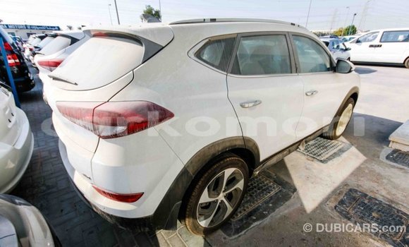 Acheter Import Voiture Hyundai Tucson Blanc à Import - Dubai, Grande Comore Acheter Import Voiture Hyundai Tucson Blanc à Import - Dubai, Grande Comore