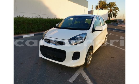 Buy Import Kia Picanto White Car in Import - Dubai in Great Comore Buy Import Kia Picanto White Car in Import - Dubai in Great Comore