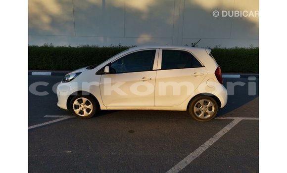Buy Import Kia Picanto White Car in Import - Dubai in Great Comore Buy Import Kia Picanto White Car in Import - Dubai in Great Comore