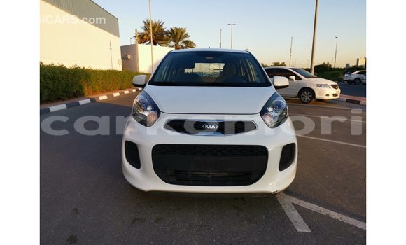 Buy Import Kia Picanto White Car in Import - Dubai in Great Comore Buy Import Kia Picanto White Car in Import - Dubai in Great Comore