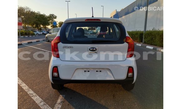 Buy Import Kia Picanto White Car in Import - Dubai in Great Comore Buy Import Kia Picanto White Car in Import - Dubai in Great Comore