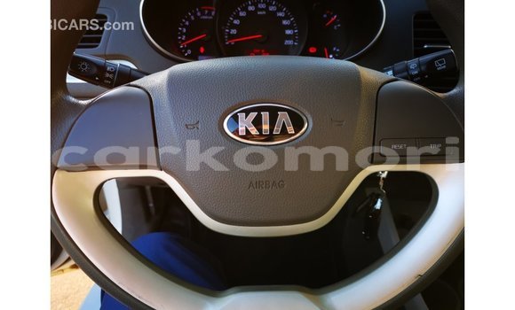 Buy Import Kia Picanto White Car in Import - Dubai in Great Comore Buy Import Kia Picanto White Car in Import - Dubai in Great Comore