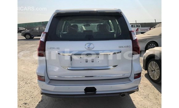 Buy Import Lexus GX White Car in Import - Dubai in Great Comore Buy Import Lexus GX White Car in Import - Dubai in Great Comore