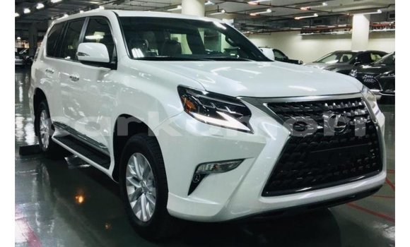Buy Import Lexus GX White Car in Import - Dubai in Great Comore Buy Import Lexus GX White Car in Import - Dubai in Great Comore