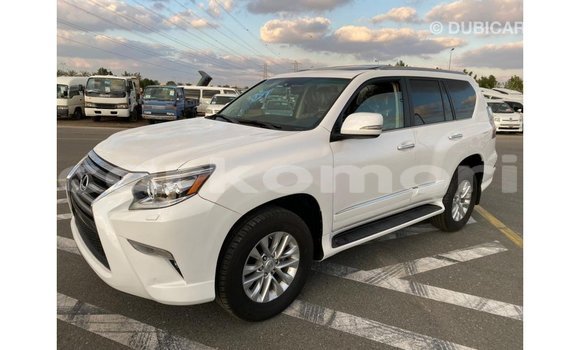 Acheter Import Voiture Lexus GX Blanc à Import - Dubai, Grande Comore Acheter Import Voiture Lexus GX Blanc à Import - Dubai, Grande Comore