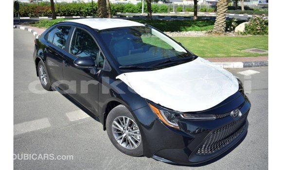 Acheter Import Voiture Toyota Corolla Noir à Import - Dubai, Grande Comore Acheter Import Voiture Toyota Corolla Noir à Import - Dubai, Grande Comore