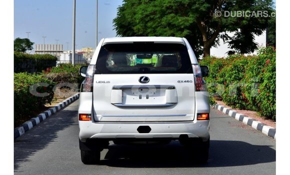 Acheter Import Voiture Lexus GX Blanc à Import - Dubai, Grande Comore Acheter Import Voiture Lexus GX Blanc à Import - Dubai, Grande Comore