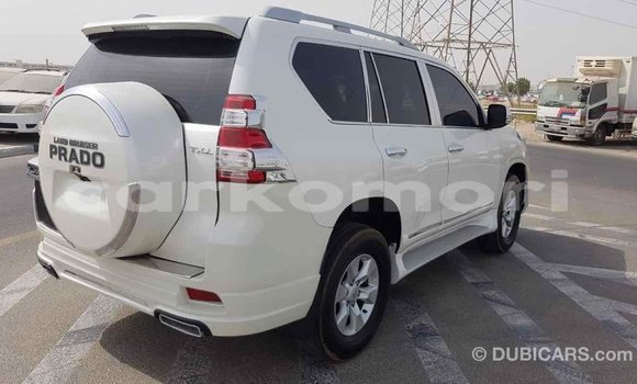 Acheter Import Voiture Toyota Prado Blanc à Import - Dubai, Grande Comore Acheter Import Voiture Toyota Prado Blanc à Import - Dubai, Grande Comore