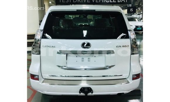 Buy Import Lexus GS White Car in Import - Dubai in Great Comore Buy Import Lexus GS White Car in Import - Dubai in Great Comore