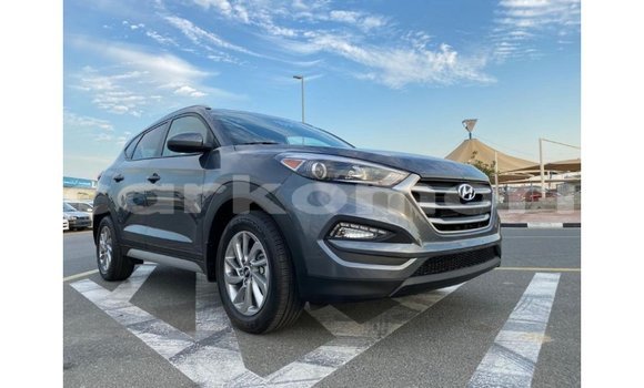 Acheter Import Voiture Hyundai Tucson Blanc à Import - Dubai, Grande Comore Acheter Import Voiture Hyundai Tucson Blanc à Import - Dubai, Grande Comore