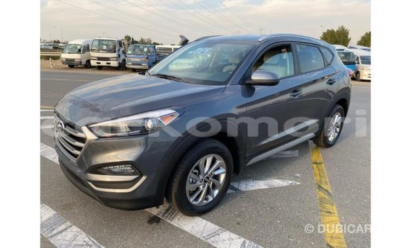 Acheter Import Voiture Hyundai Tucson Blanc à Import - Dubai, Grande Comore Acheter Import Voiture Hyundai Tucson Blanc à Import - Dubai, Grande Comore